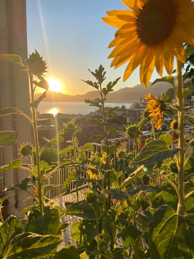 Apartments Aleksandar Sveti Stefan Dış mekan fotoğraf