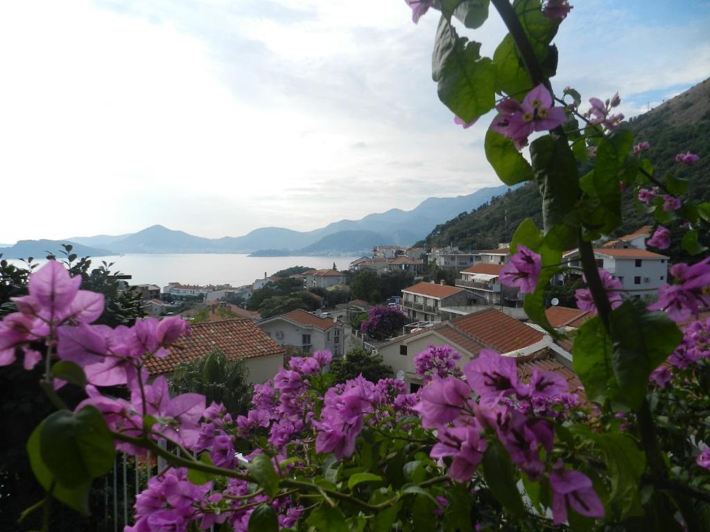 Apartments Aleksandar Sveti Stefan Dış mekan fotoğraf